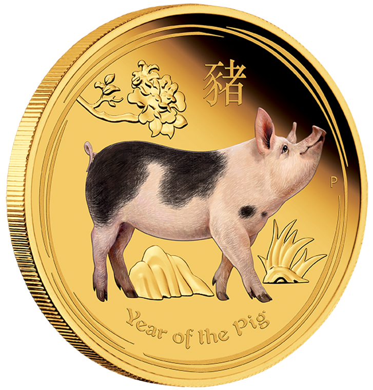 2019 Year of the Pig Australian Lunar 1oz Gold Proof Coloured Coin - Reverse - Angle View