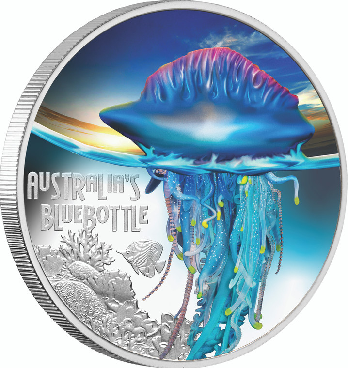 2024 Deadly and Dangerous Bluebottle 1oz Silver Proof Coin - reverse - angle view