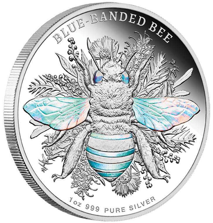 2025 Australian Native Bees - Blue-banded  Bee 1oz Silver Proof Hologram Coin - reverse angle