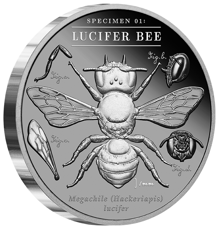 Australia's Dark Bees - 2026 Lucifer Bee 2oz Black Proof Coin - reverse angle