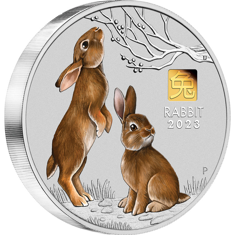 2023 Year of the Rabbit 1 Kilo Silver Coin with Gold Privy Mark - reverse