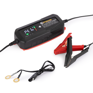 Renegade Industrial 6 Amp Smart Charger - RISC6AMP