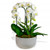 Cascading Orchids arrangement in a pot Cascading Orchids arrangement in a pot