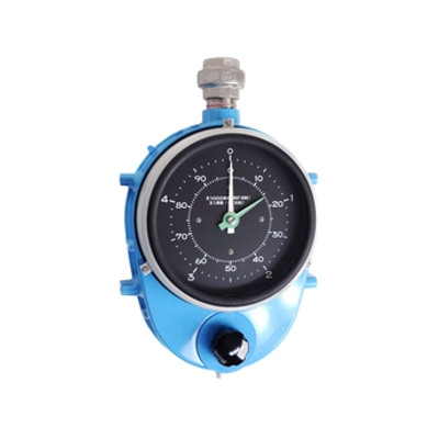 Endress+Hauser new code FTL502WC4/0 old code FLT50-GAE2AA8C6A Level Switch Tank gauging instrument Float Gauge LT5
