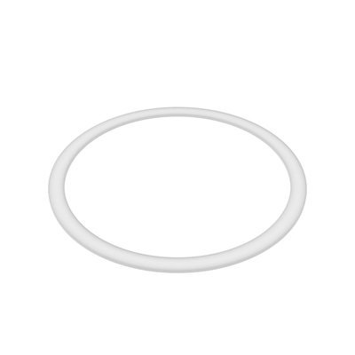 Rosemount™ Grafoil Gasket, RFW/RCW Lower Housing, 2.90-in OD