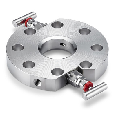 Rosemount™ 319 Flushing Rings