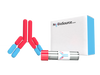 Anti-Desmin Antibody (Monoclonal, 2B5)