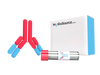 Cy3-Linked Monoclonal Antibody to Annexin A5 (ANXA5)