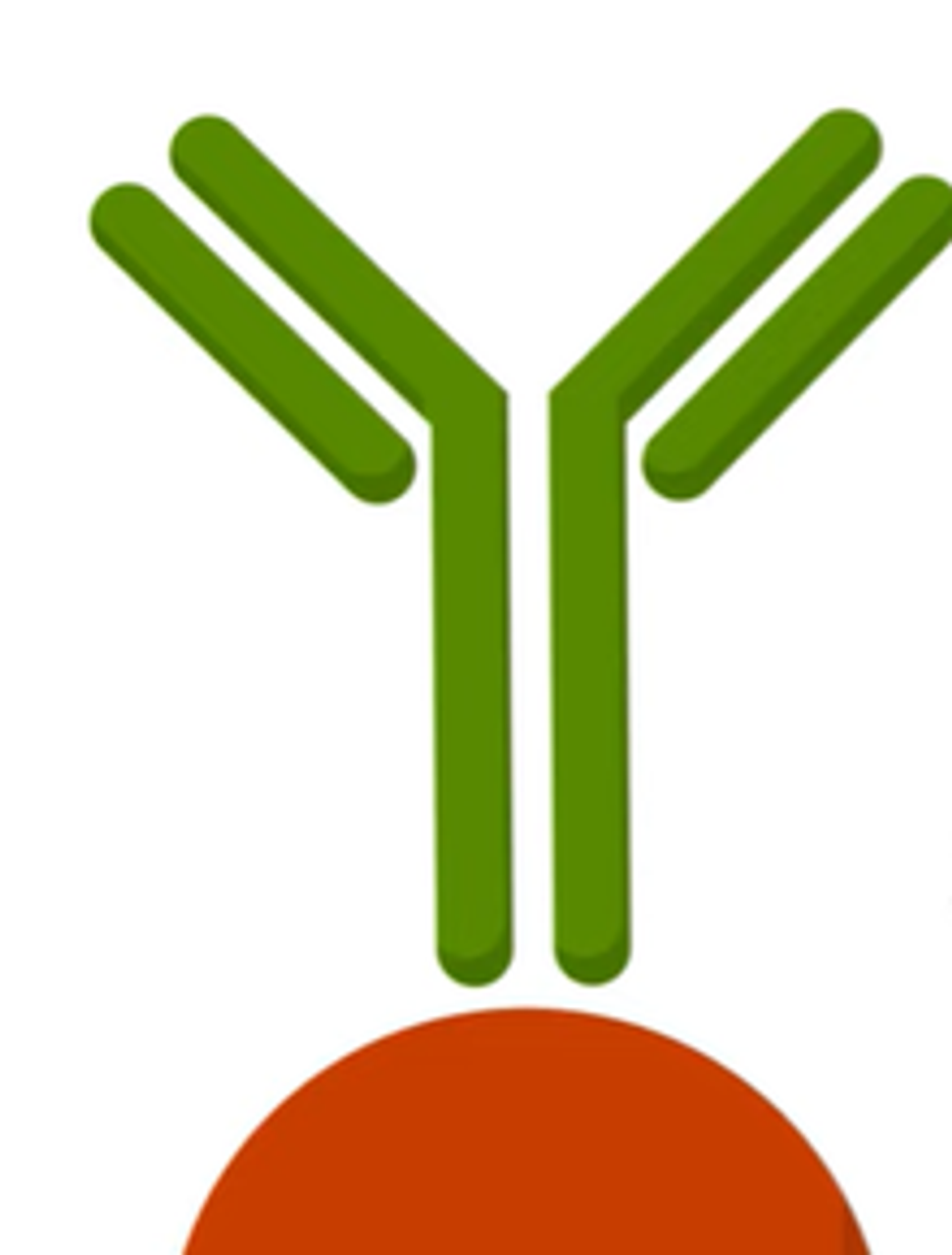 Monoclonal antibody for TAU PSER20