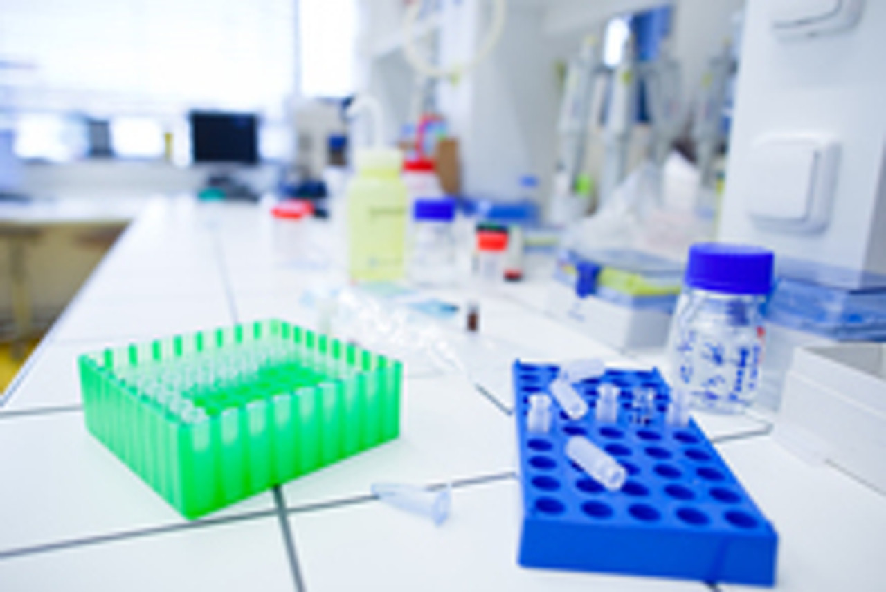 pCR4-TOPO-FANCF pCR4-TOPO-FANCF