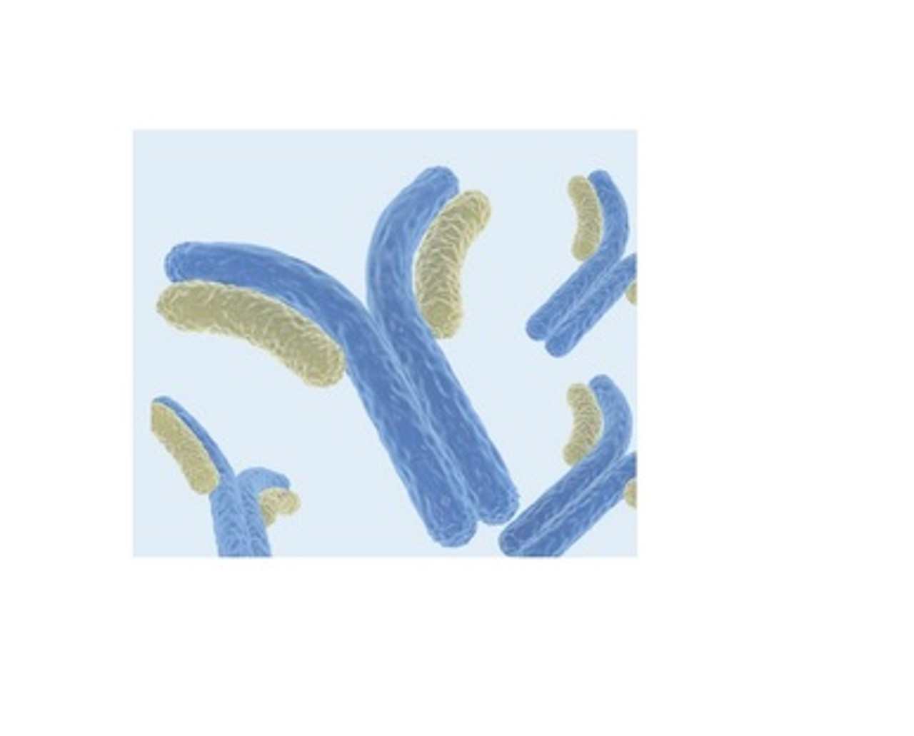 pOTB7-PCSK1N