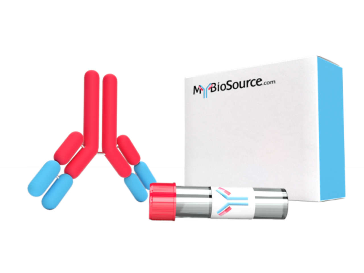 Mouse Anti-Sumo tag monoclonal Antibody