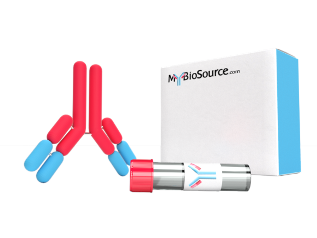 PE-Linked Monoclonal Antibody to Lumican (LUM)