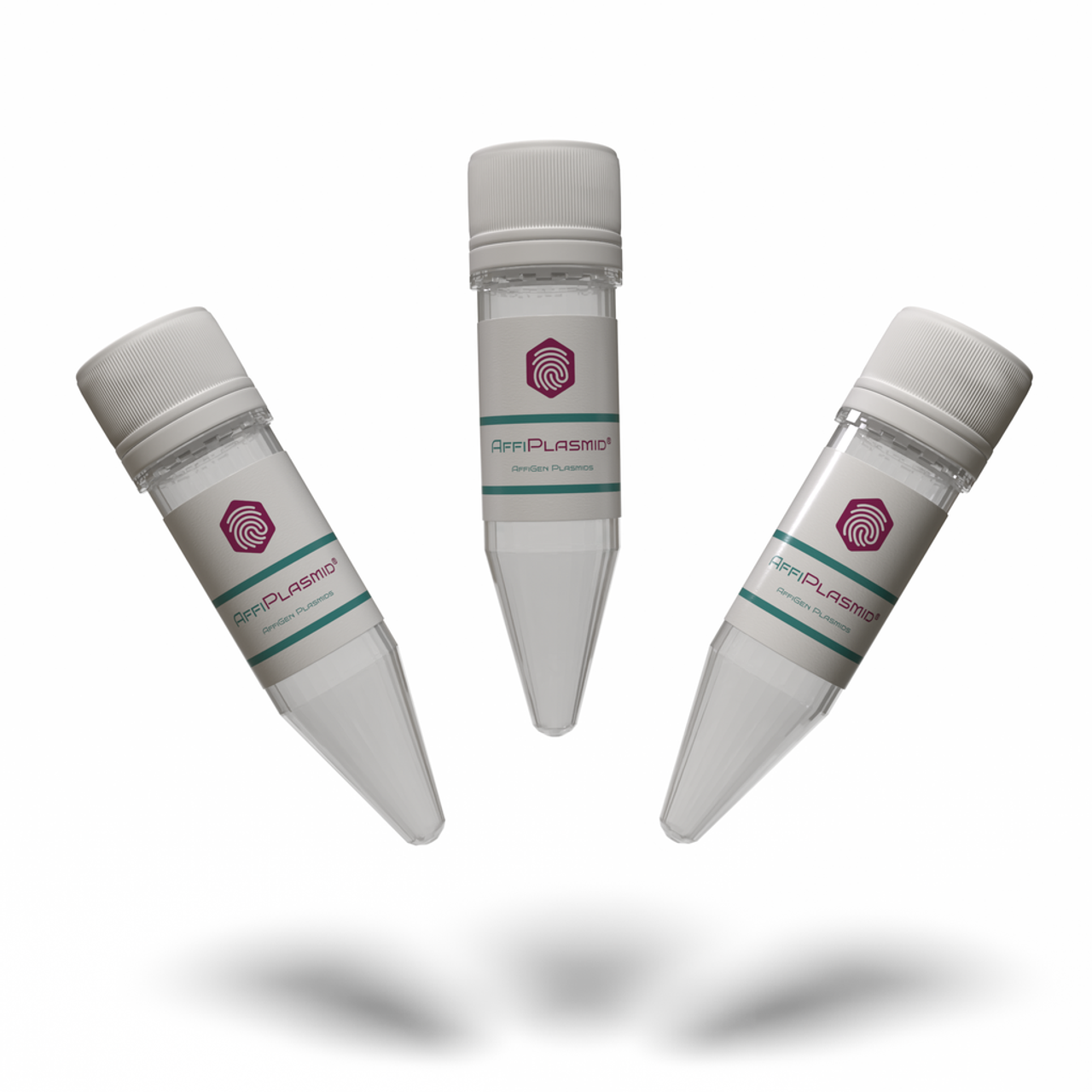 pCANTAB-5E plasmid - 2 ug