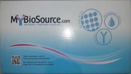 Anti-MYC-TAG Antibody