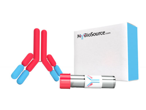 Mouse anti- Folic acid monoclonal Antibody