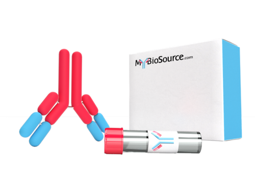 Mouse anti-human Hemoglobin Monoclonal Antibody
