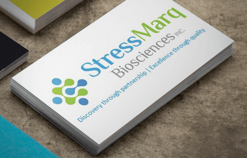 Alpha Synuclein Protein