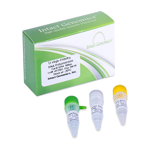 i7® High-Fidelity DNA Polymerase