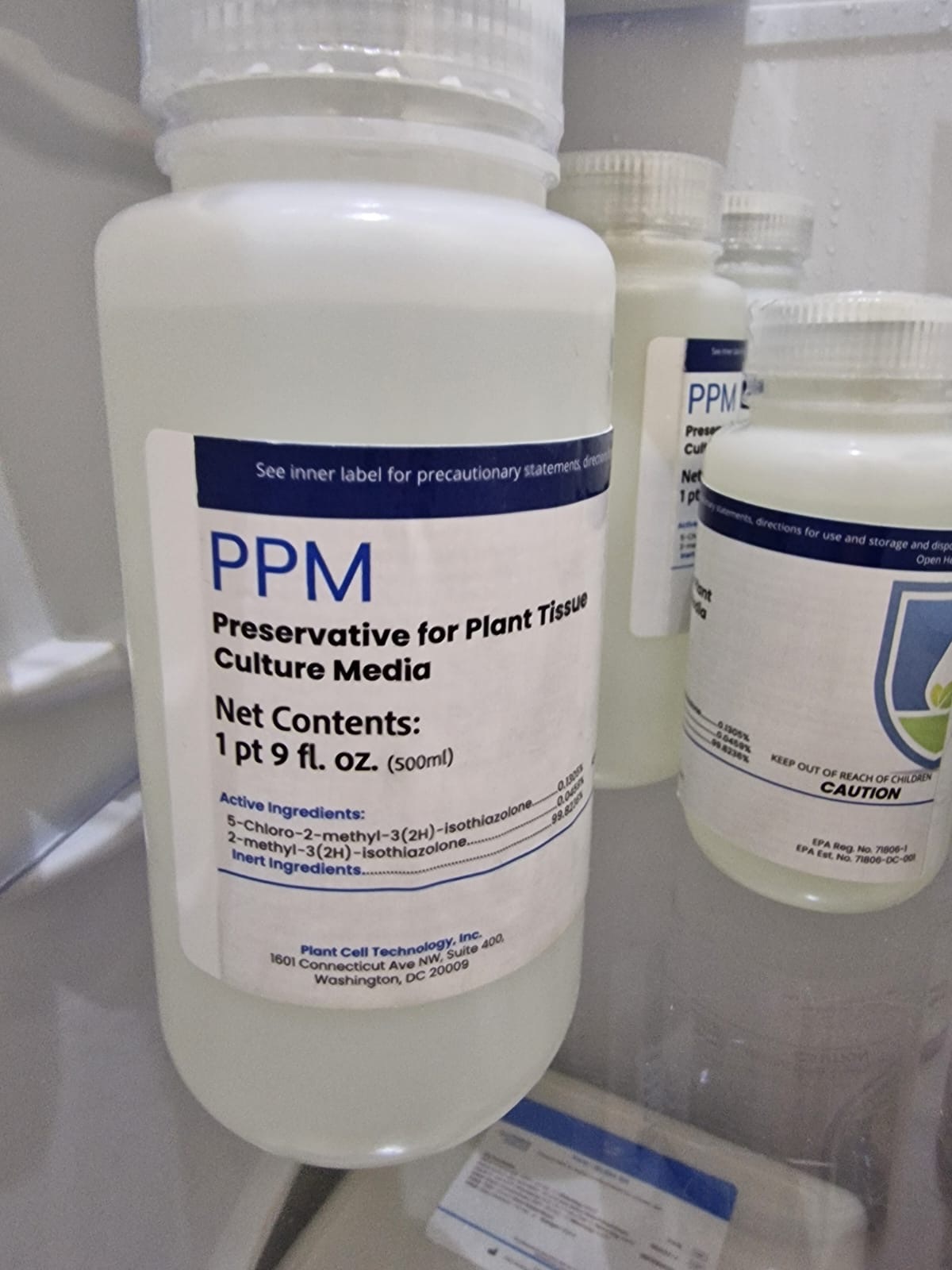 Preservative for plant Tissue Culture Media