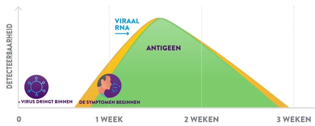 rna panbio