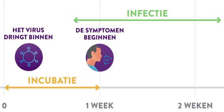 how to use Panbio correct?