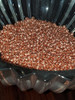 8mm diameter x 3mm Saucer Beads - Copper