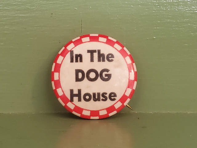 Vintage In The Dog House quote Pinback button