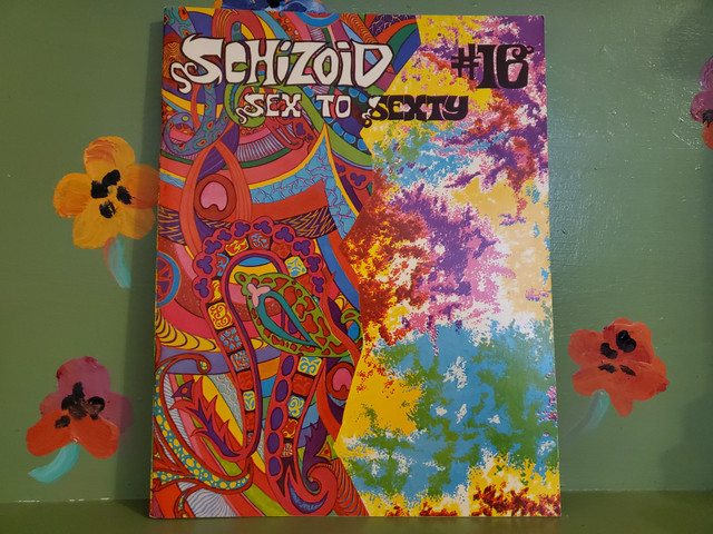 Sex to Sexty Schizoid comic book