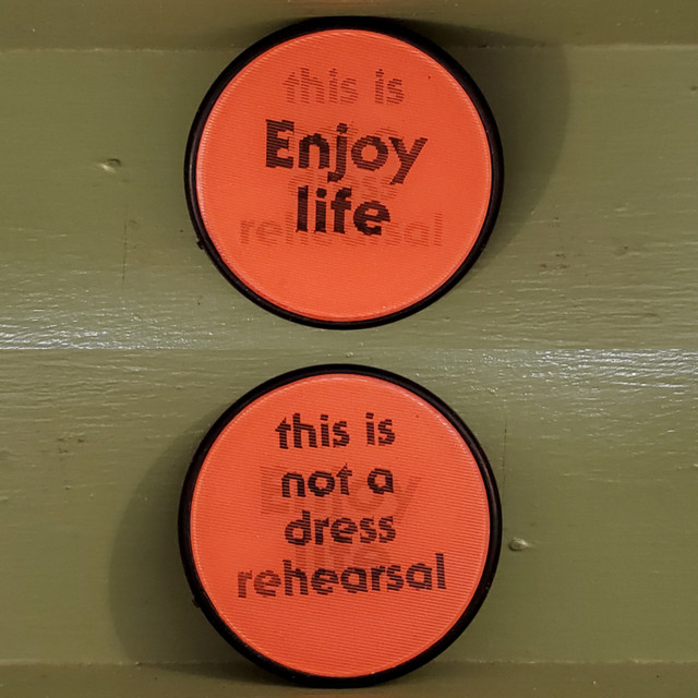 Enjoy Life Dress Rehearsal lenticular pin button