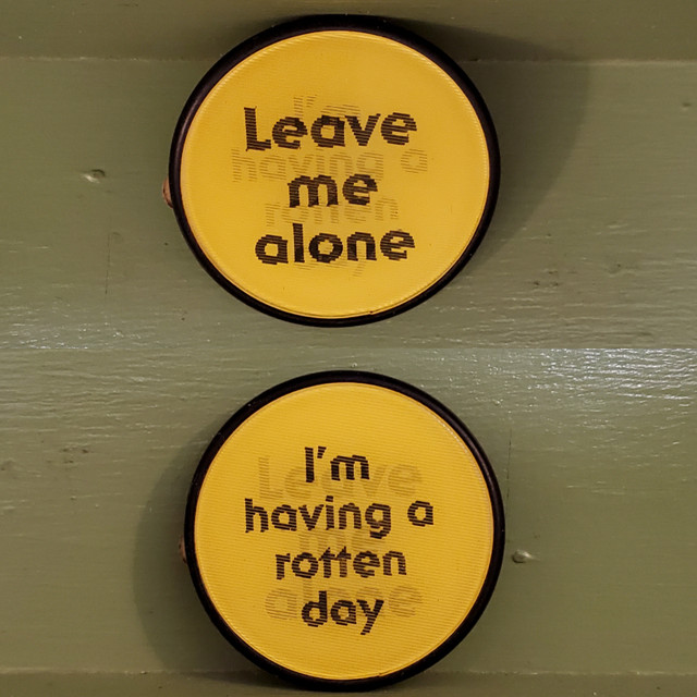 Leave Alone Rotten Day lenticular pin button