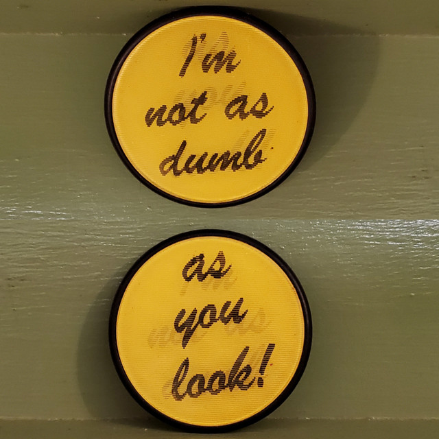 Not Dumb You Look lenticular pin button