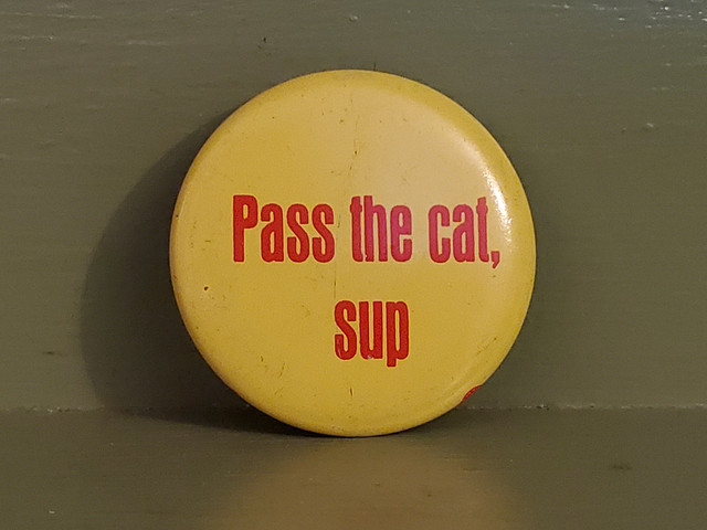 pass the cat sup pin button