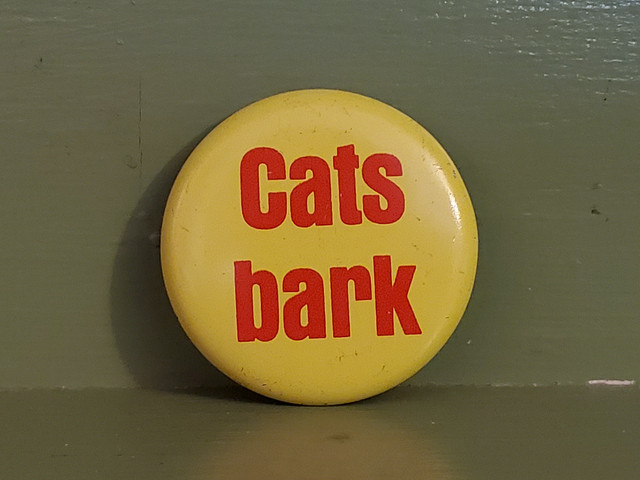 cats bark pin button
