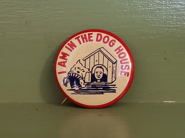 I'm the doghouse comic pin button