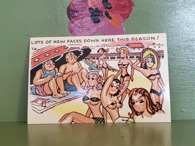 New Faces Beach Vacation girls in bikinis postcard