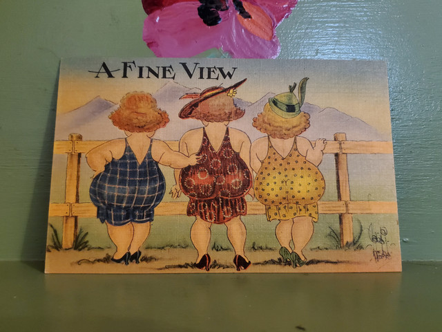 A fine view volup butts postcard
