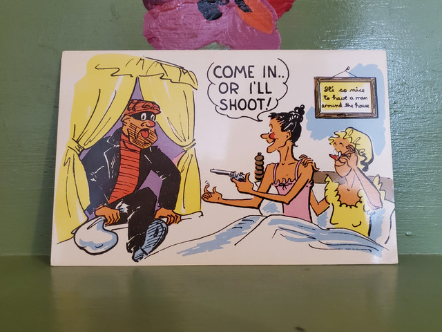 Come in or I'll shoot old ladies burglar gun postcard