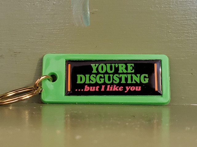 Vintage you're disgusting but I like you neon keychain