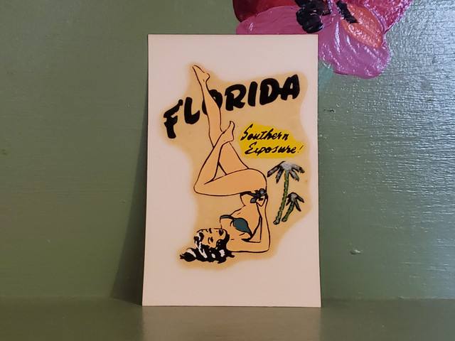 Vintage decal hot rod state pinup Florida