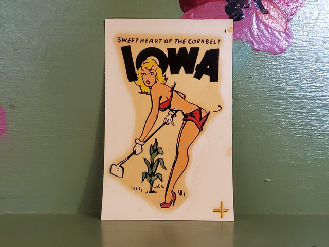 Vintage decal hot rod state pinup Iowa
