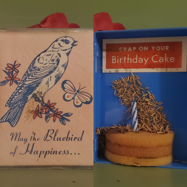 Vintage gag gift may the bluebird of happiness crap on your birthday cake