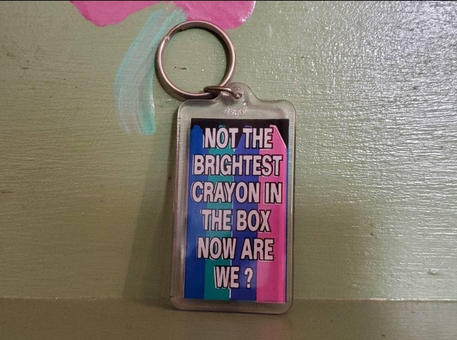 Vintage funny rude keychain Not Brightest Crayon Box