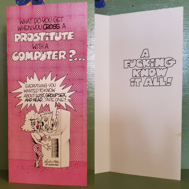 Vintage Funny greeting card adult Computer Prostitute Fucking Know It All