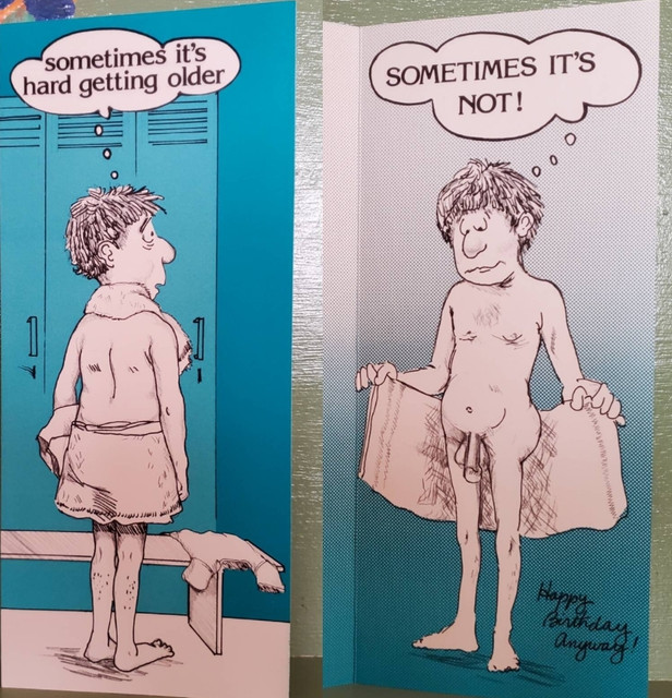 Vintage Funny greeting card adult Birthday Getting Older Hard Penis