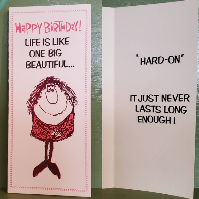 Vintage Funny greeting card adult Birthday Hard On Penis Life