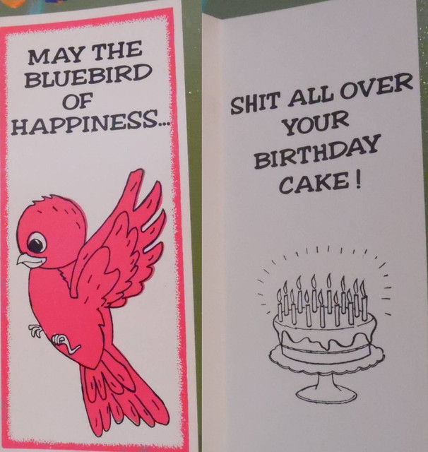 Vintage Funny greeting card adult Birthday Blue Bird Happiness Shit Cake