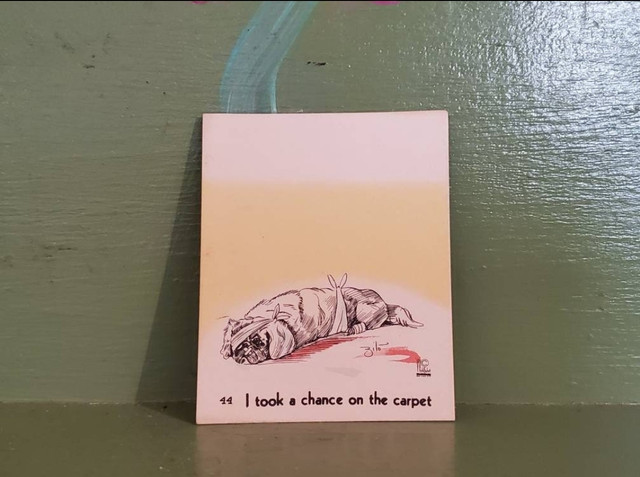 Vintage dog arcade card took chance on carpet Vintage dog arcade card took chance on carpet