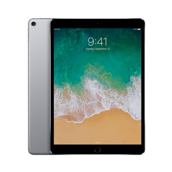 【美品】Apple iPad Pro 10.5インチ Wi-Fi+Cellular 256GB ゴールド  : Apple iPad Pro 10.5in with (Wi-Fi + Cellular) - 2017