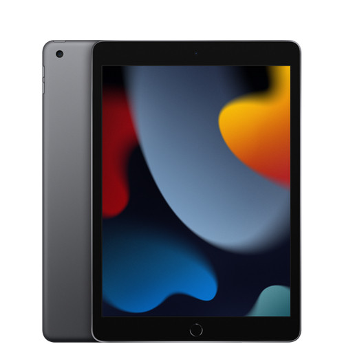 Fair Condition*: iPad (9th Gen) 256GB Wi-Fi + Cellular - Space Gray